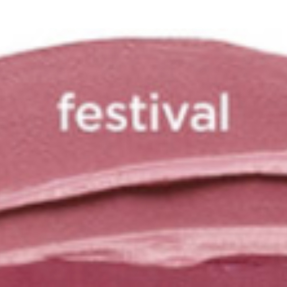 LAST 1!  HP! NIB TARTE MATTE ‘Festival’ LIQUID LIP - Picture 3 of 5